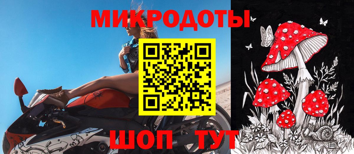 Галлюциногенные грибы Psilocybine cubensis Фрязино