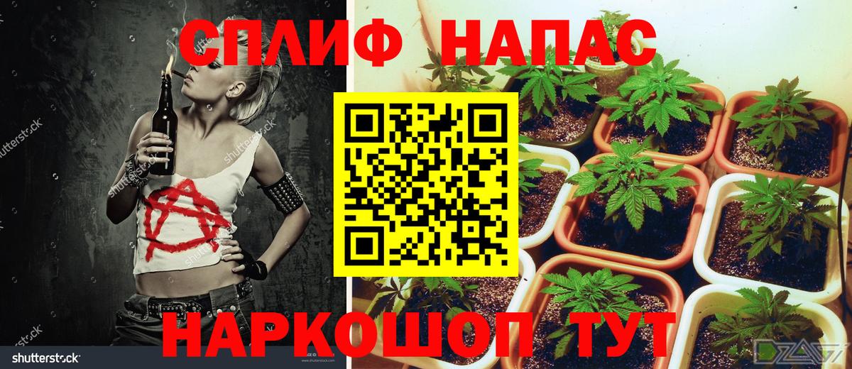 Каннабис тримм  Вход с VPN  Бошки марихуана THC 21%  Фрязино 
